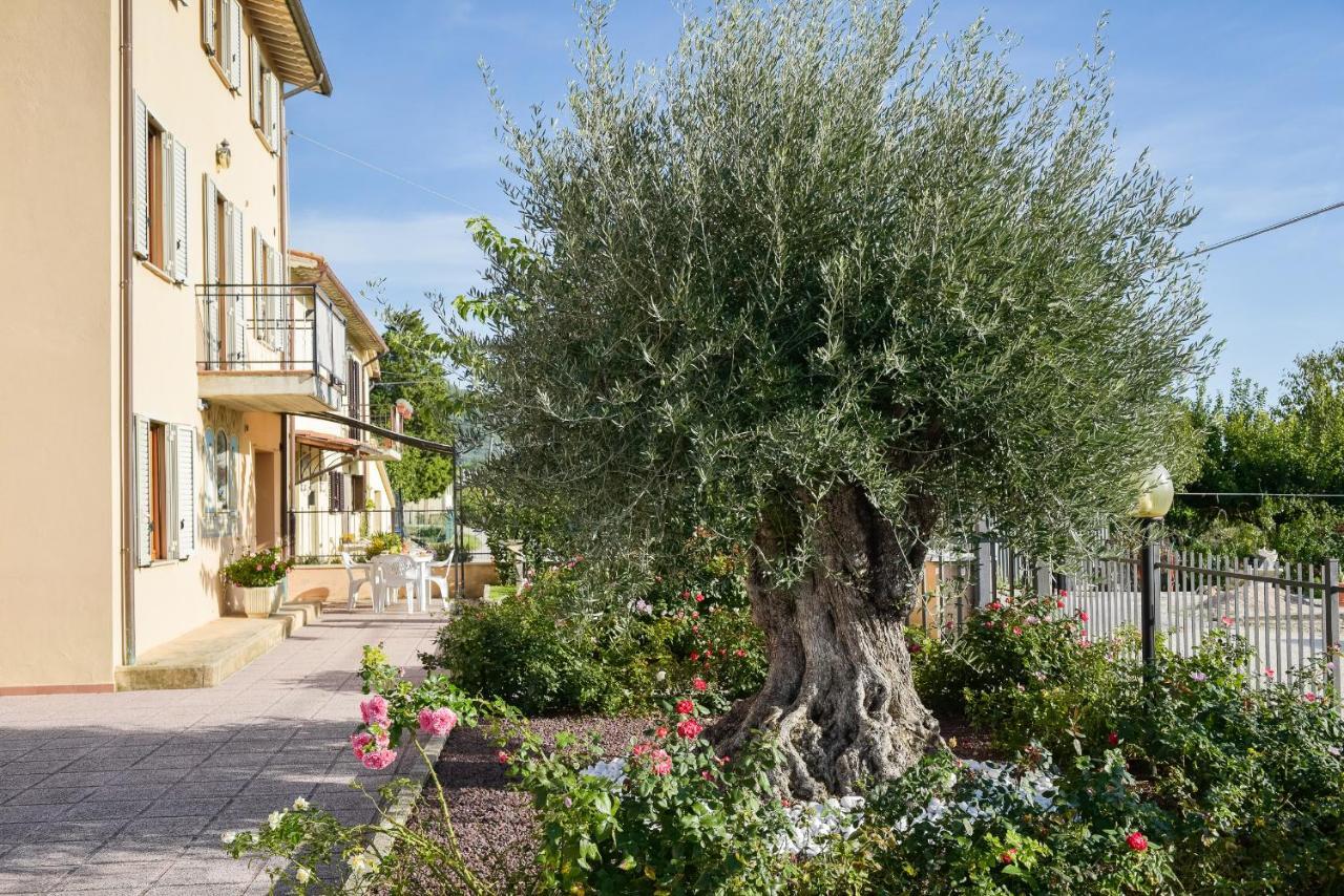 Villa Scarponi אסיסי מראה חיצוני תמונה
